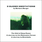 Guided Meditations